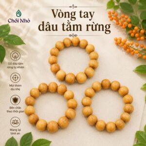 Vòng Dâu Tằm Cho Nam - Dâu Việt Gốc Già Bản Lớn (12ly, 14ly, 16ly)