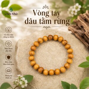 Vòng Dâu Tằm Việt 10mm - Dâu Tằm Rừng Gốc Già Cao Cấp
