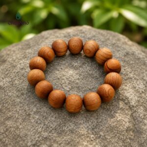 Vòng Tay Phong Thủy Nam Giới Gỗ Ngọc Am Hạt 16mm